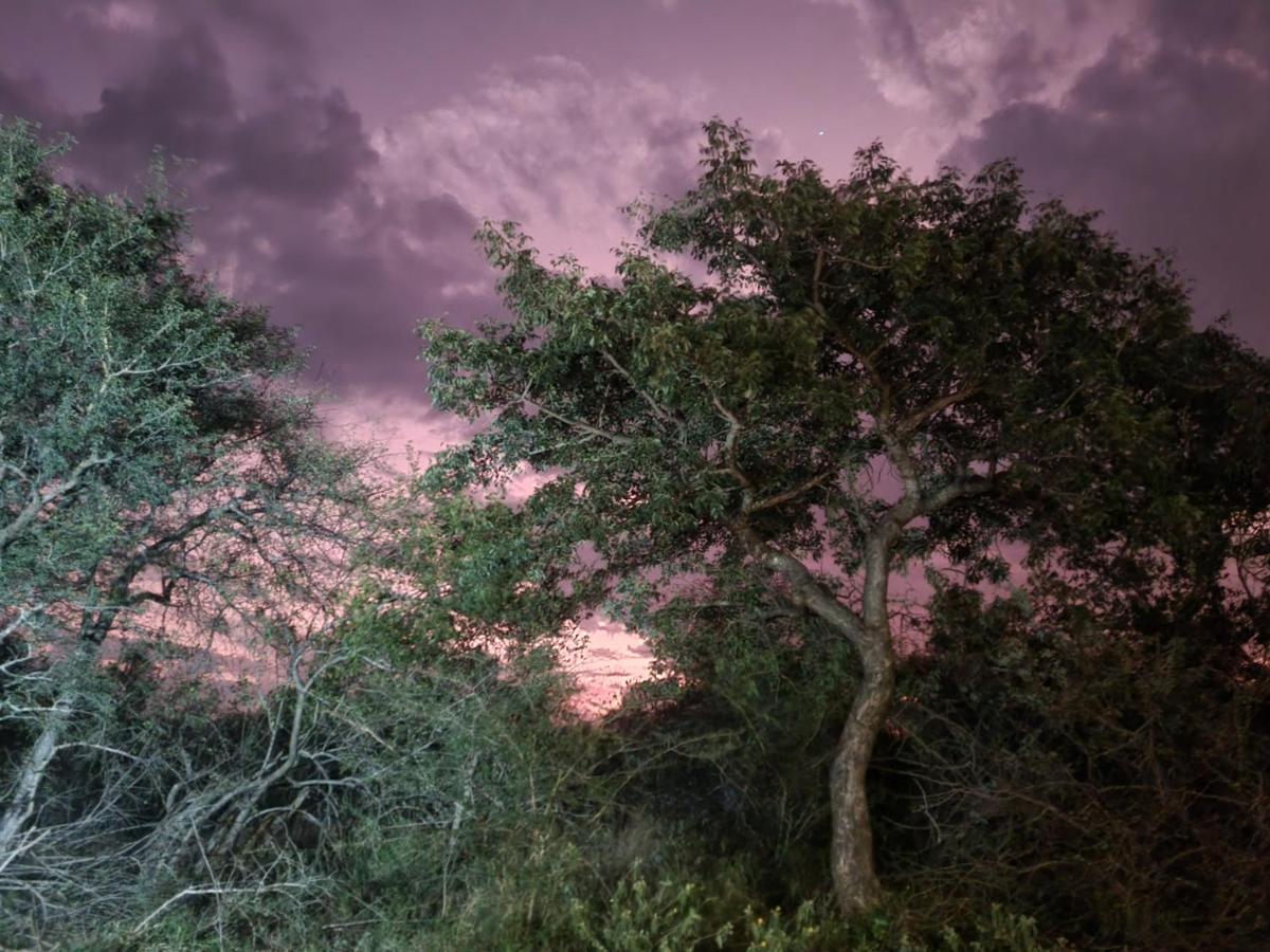 Larima Bush Retreat Villa Hoedspruit Bagian luar foto